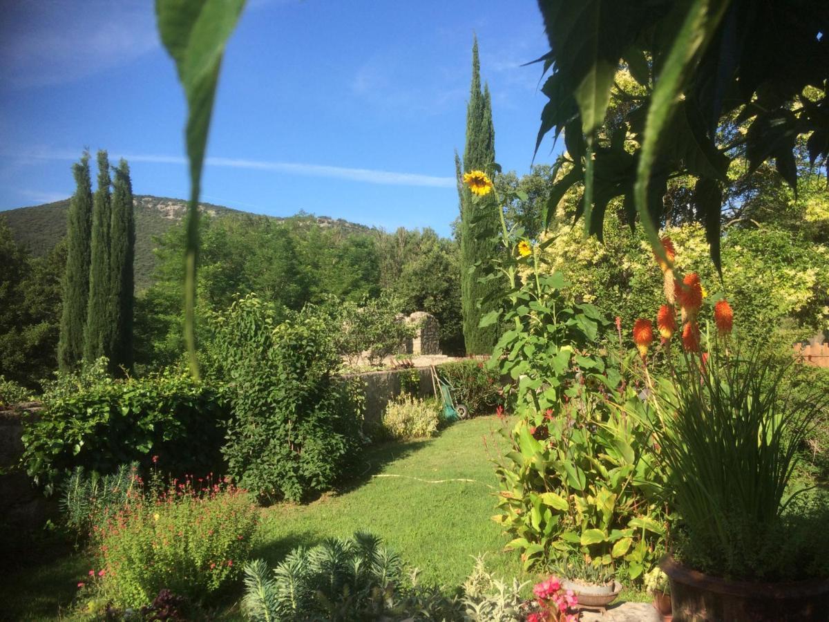 Logis Des Magnans - Le Murier - Bed & Breakfast *